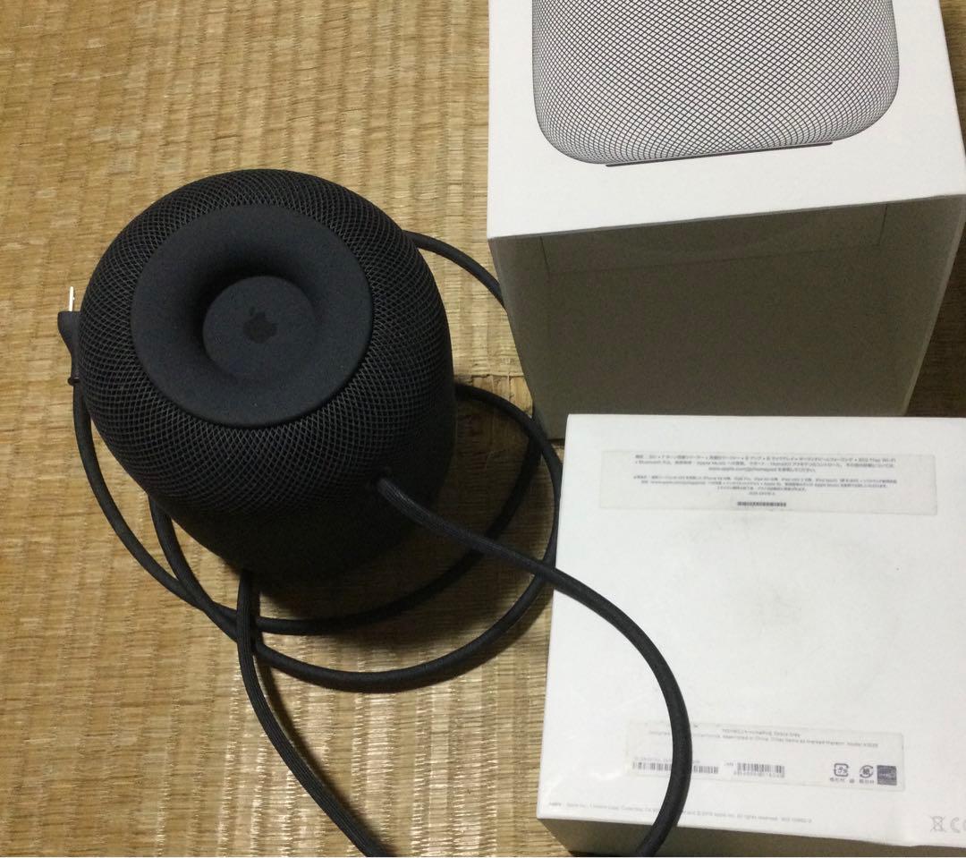 Pod 第1世代 MQHW2J/A