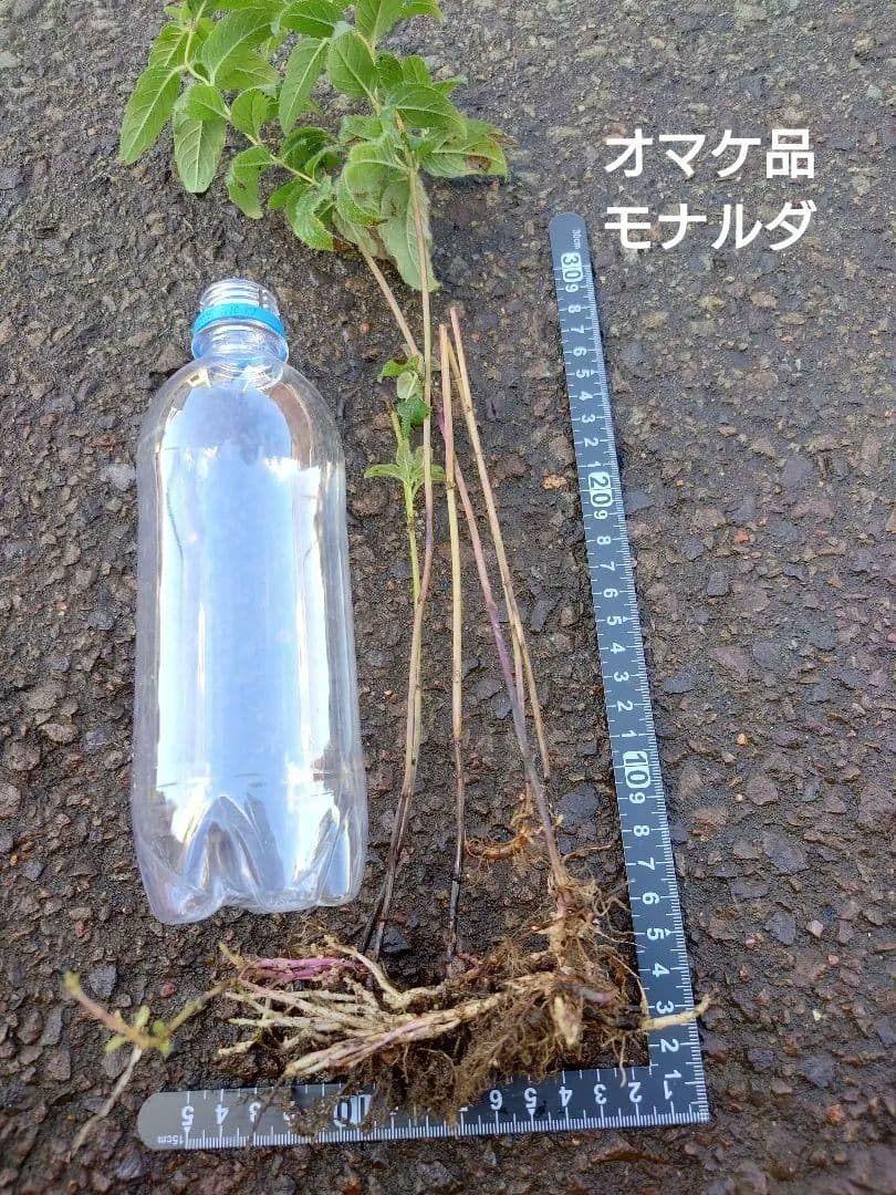 お気軽にお問い合わせください(*^^*)