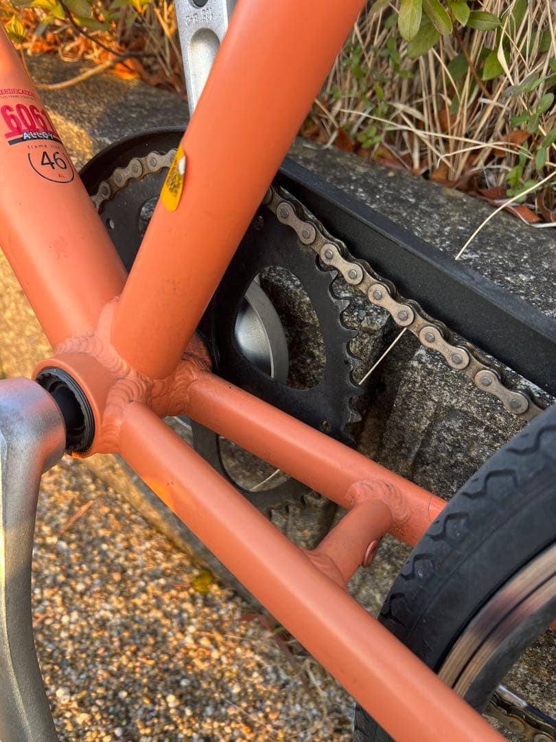 【長野県での直接お渡し限定】LOUIS GARNEAU シングルギア