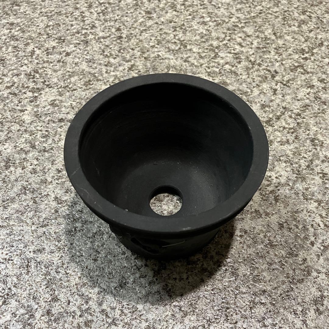 coyote pot 田口潤 植木鉢 鉢