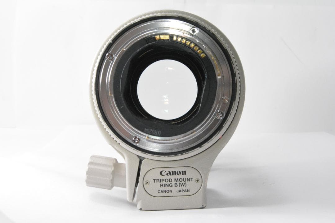 れい CANON EF 70-200mm F2.8L IS USM