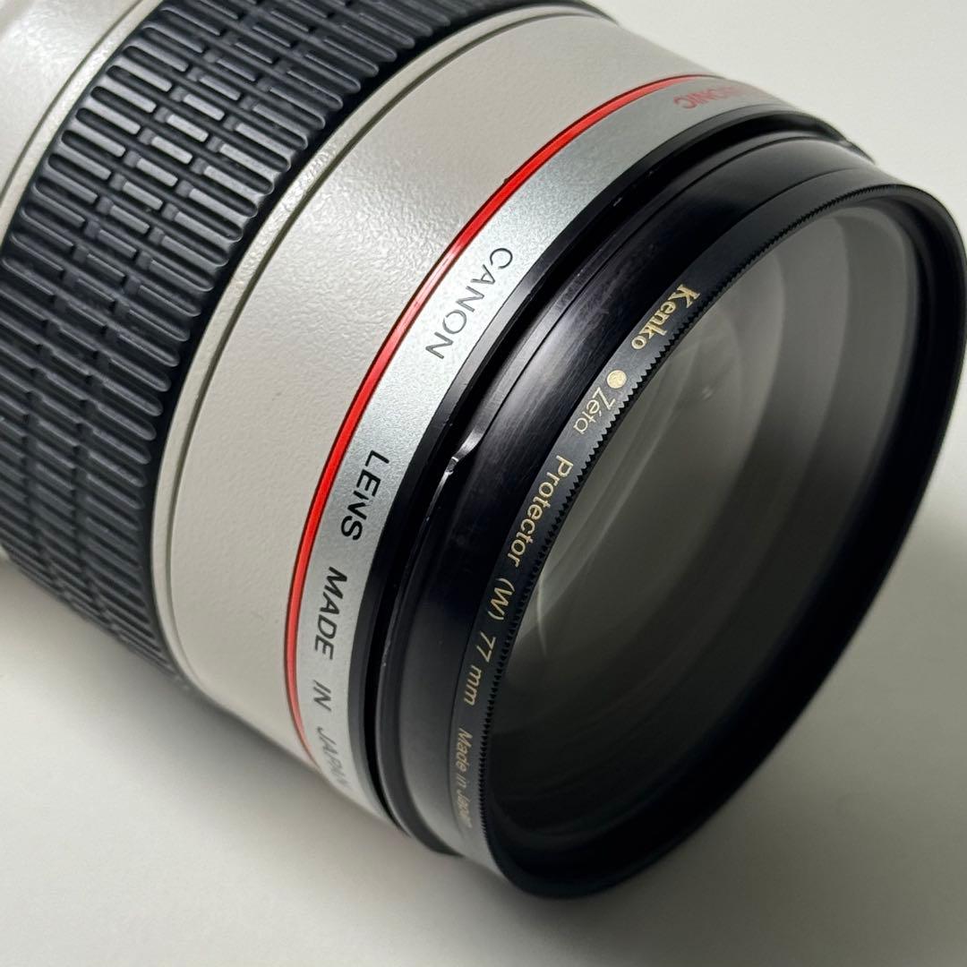 EF 70-200mm f/2.8L USM と2x エクステンダーⅡ型