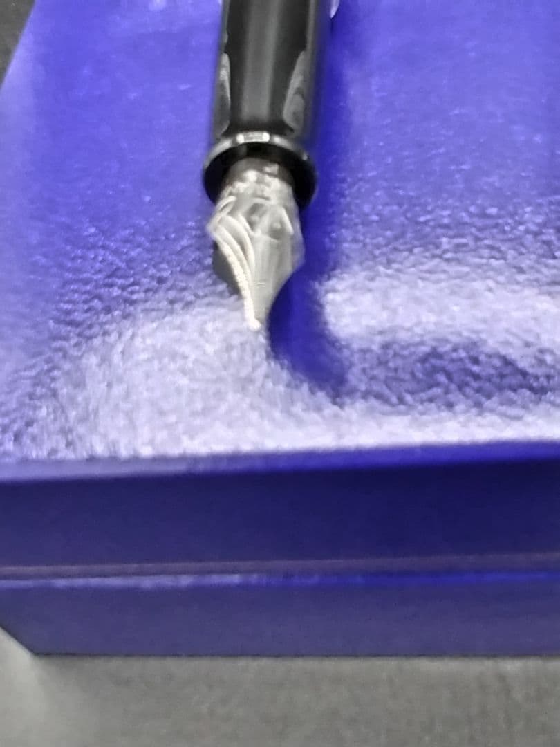 WATERMAN メトロポリタンシリーズ万年筆 専用ケース付