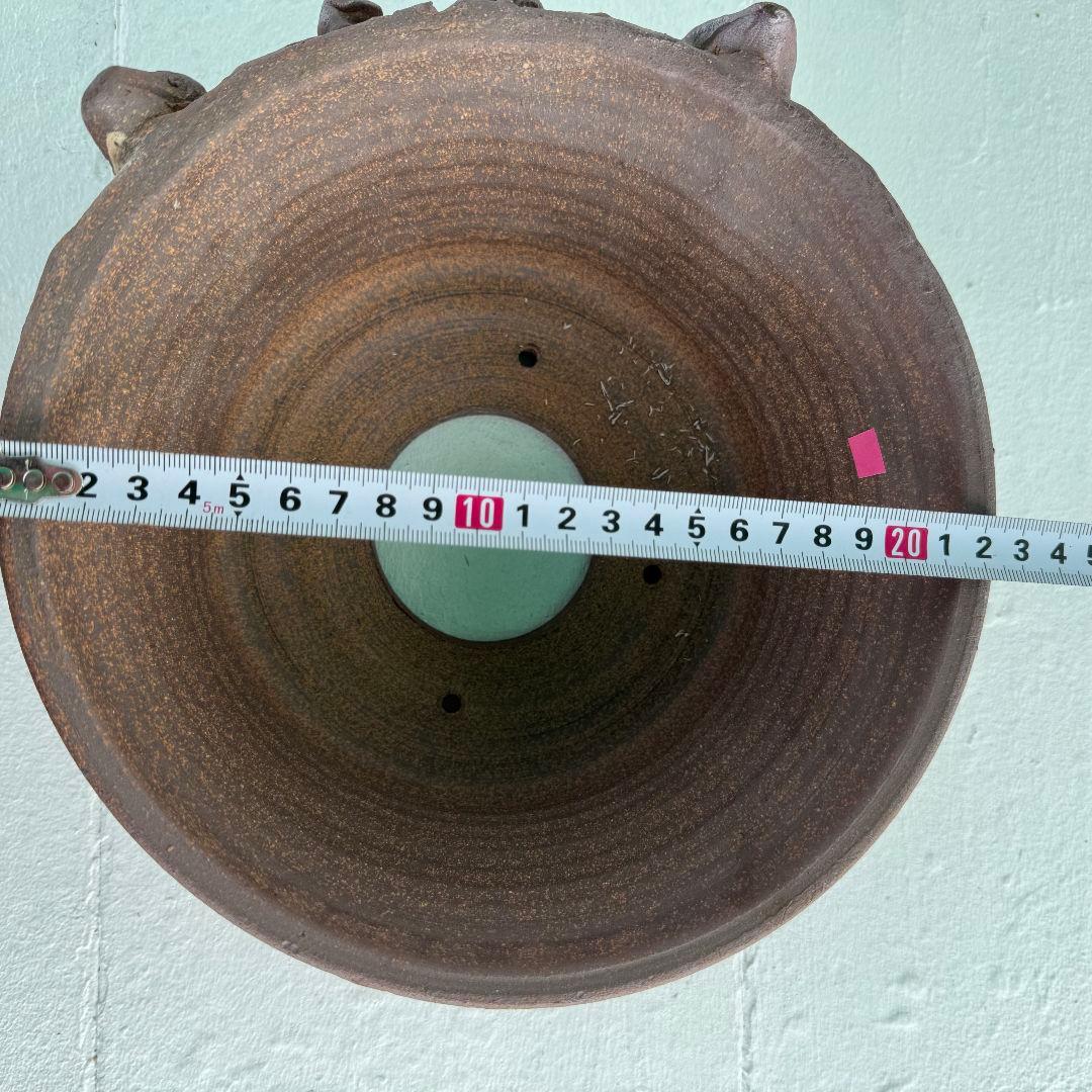 陶器　鉢　Japan　history　Art　盆栽　日本　沖縄　アガベ　パキプス