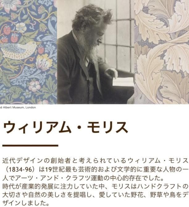 V＆A　いちご泥棒　掛けふとんカバーNo.107 ＆ 枕カバーNo.55 　2組