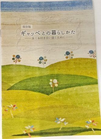 値下げ可能ミニギャベ●37×36㎝●手織●本物●新品未使用 遊牧民が紡ぐギャッベ