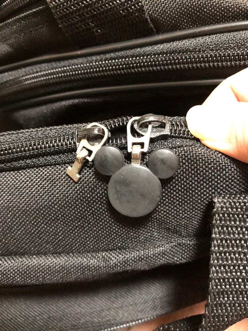 アメリカのディズニーランドで購入 当時50周年目のレアバッグ