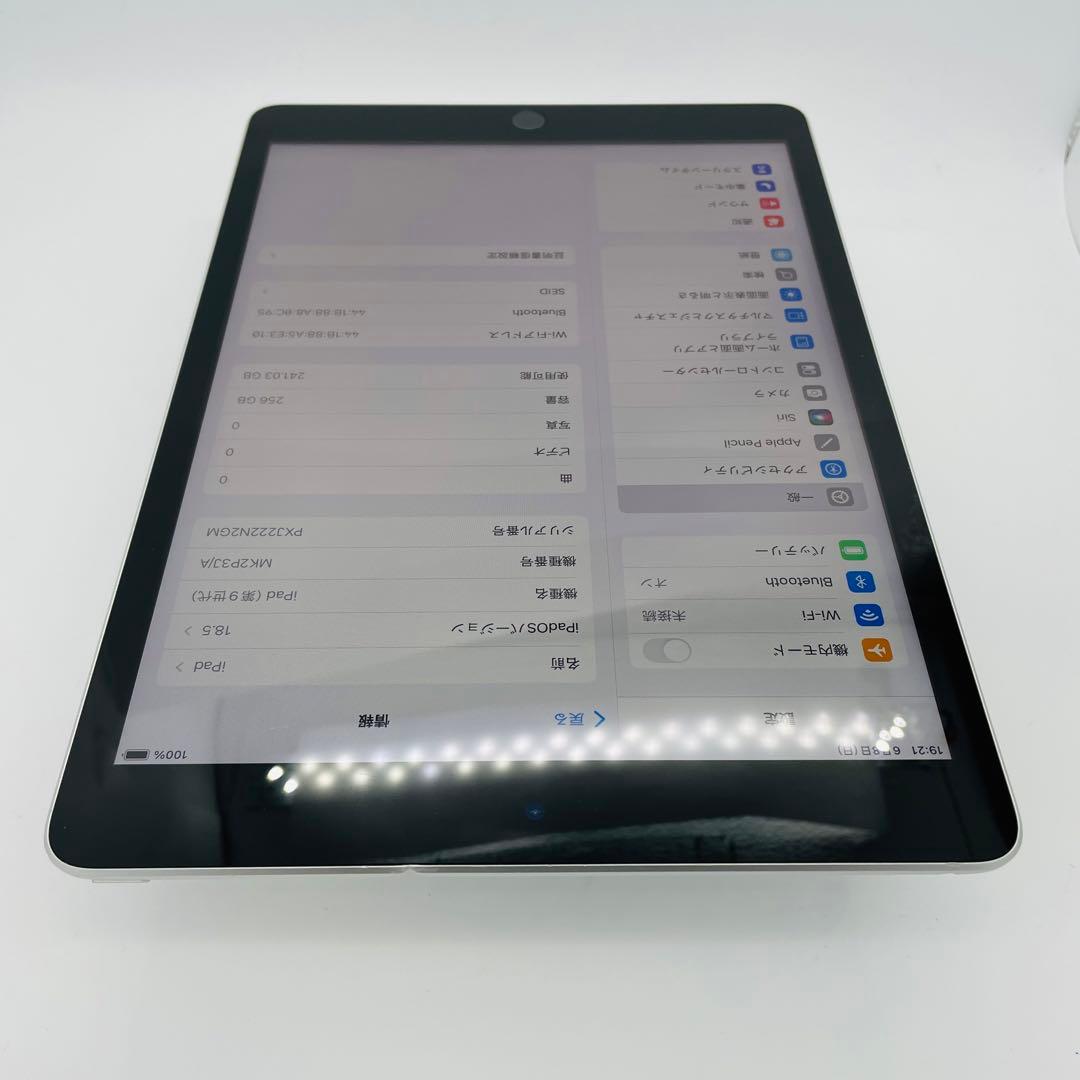89% iPad 9 第9世代　256 GB Wi-Fi シルバー　本体