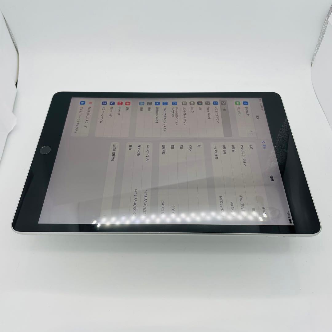 89% iPad 9 第9世代　256 GB Wi-Fi シルバー　本体