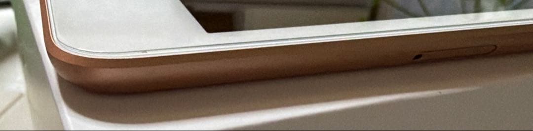 iPad mini Wi-Fi+Cellular 64GB ゴールド