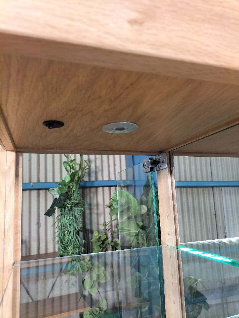 直接引取 CondeHouse ミニキュリオ ショーケース 展示品(464)