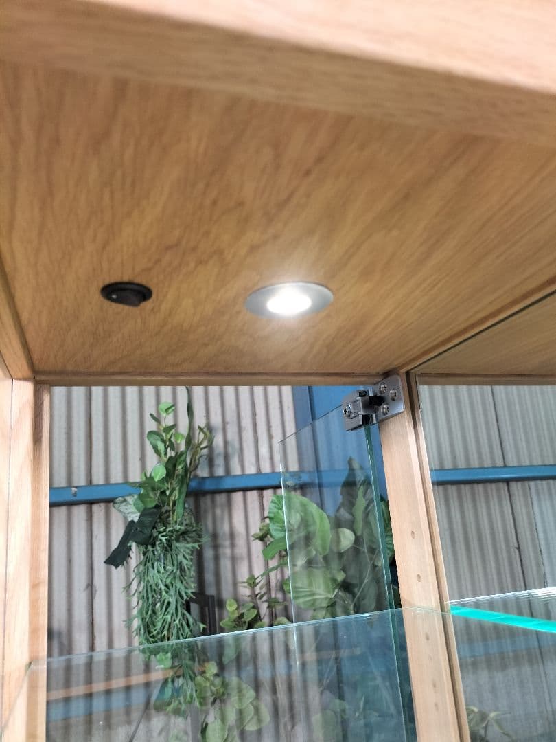 直接引取 CondeHouse ミニキュリオ ショーケース 展示品(464)