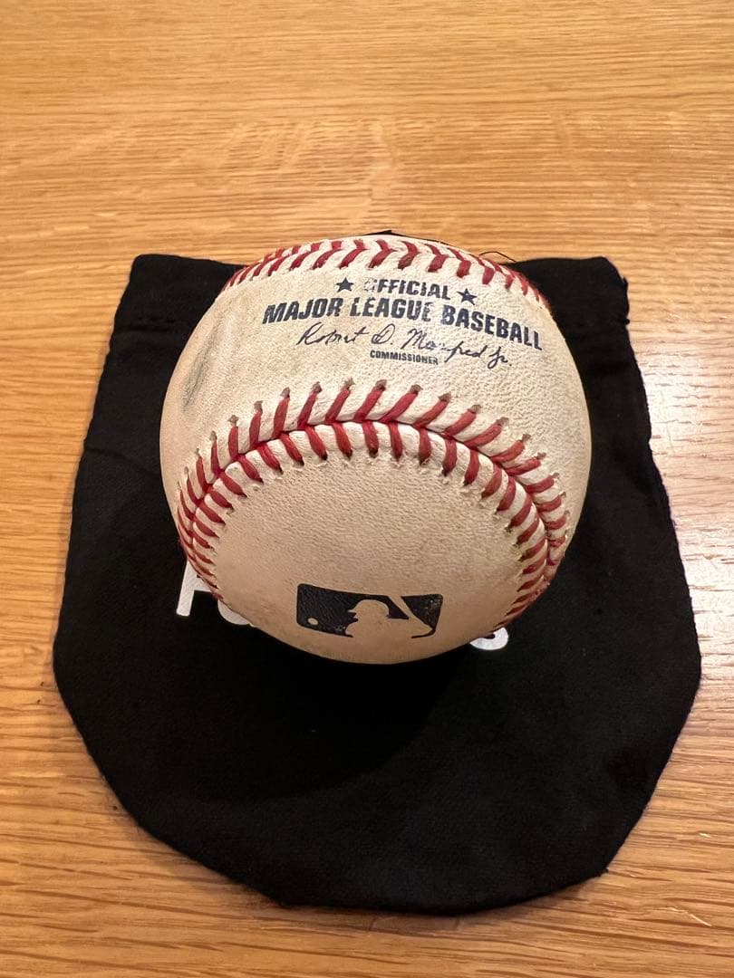 Anthony Volpe Game-Used 直筆サインボール