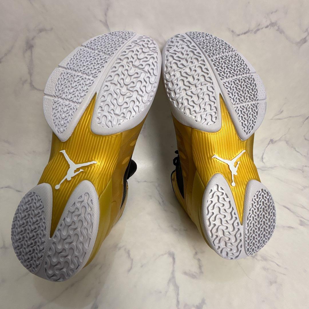 【新品未使用】JORDAN FLY WADE 2 EV 28.5