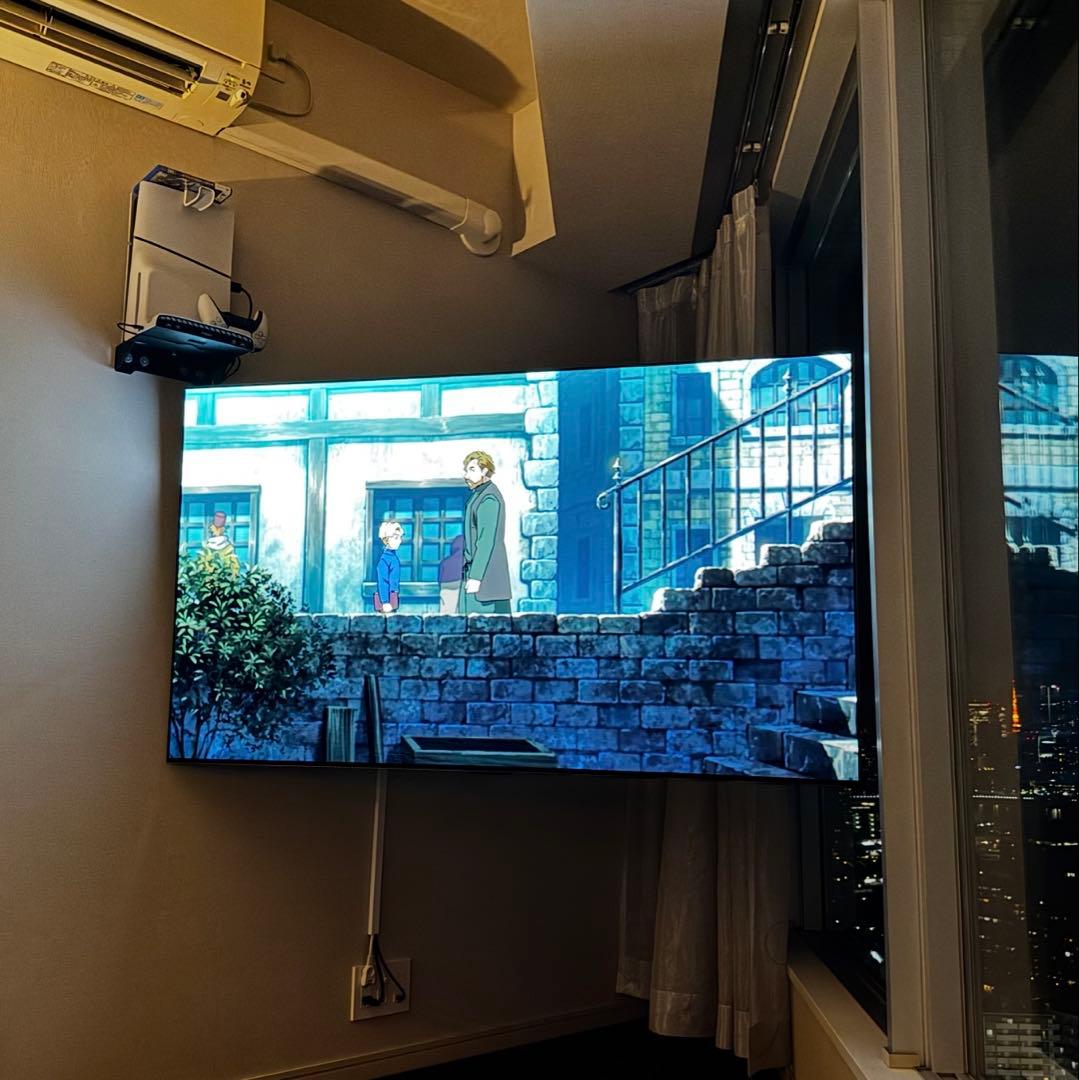 【カワセミさん専用】LG有機ELテレビ65型4KチューナーOLED65C2PJA