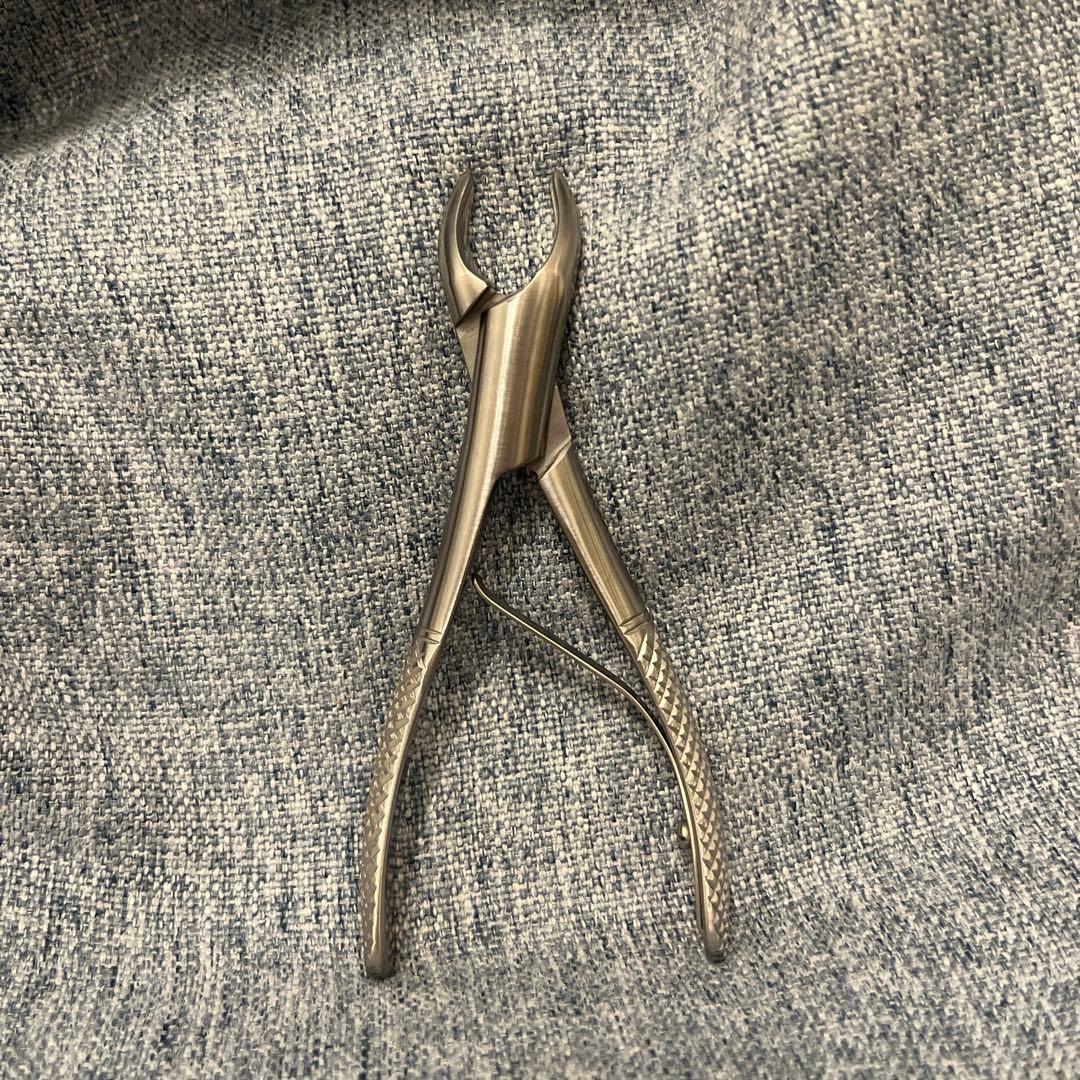 帝塚山ハウンドカム 歯石取りペンチ 犬用 猫用 ステンレス