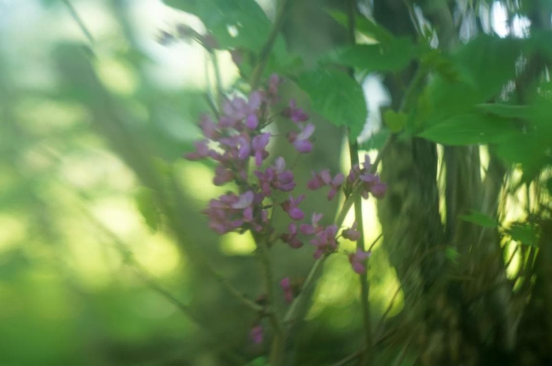 珍品！ Carl Zeiss Tessar 50mm F2.8 M39