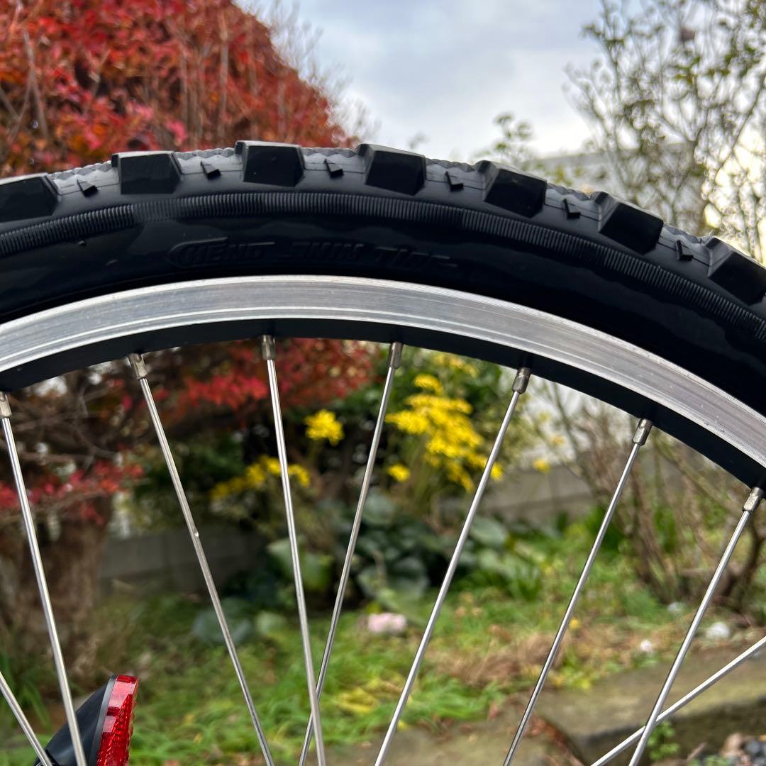 ルイガノ J22 LOUIS GARNEAU ジュニア22インチ