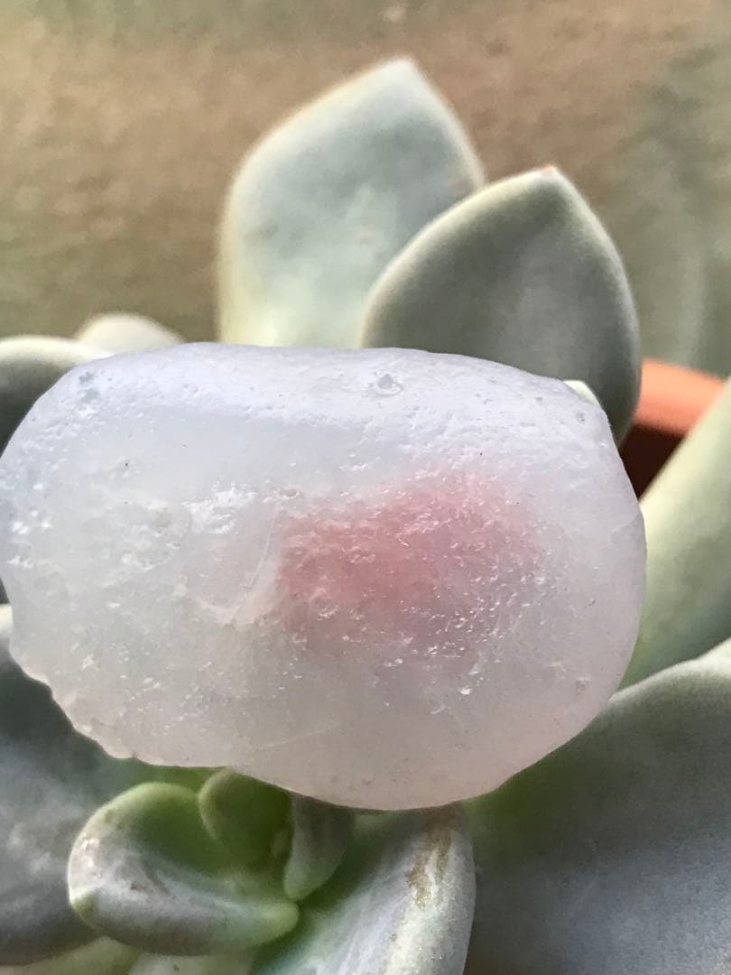 ゴビ石−1426 ゴビ瑪瑙　原石　ピンク