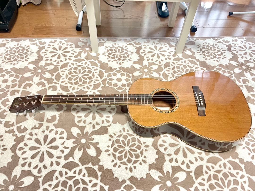 アコースティックギター　ARIA ADL-01 N GOTOHぺグ