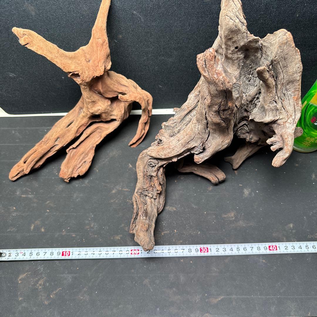 ADAホーンウッド9個