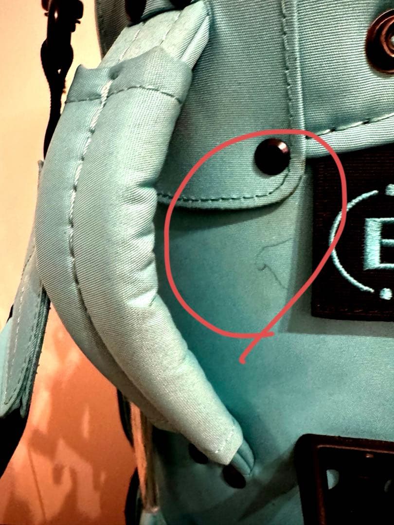 BRIEFINFG CRUISE 限定AQUA ブリーフィング キャディーバッグ