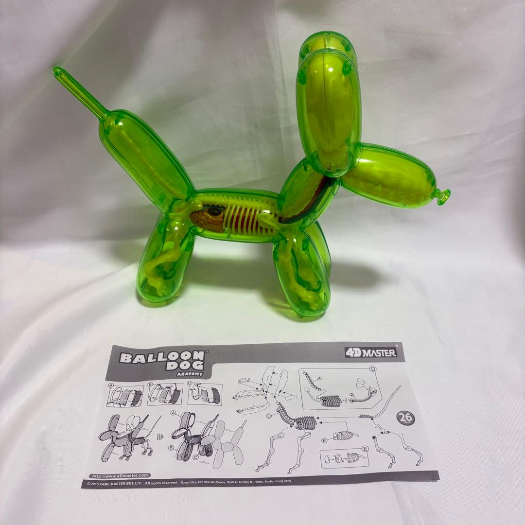 4d master フォーディーマスター バルーンドッグ　スケルトン　グリーン