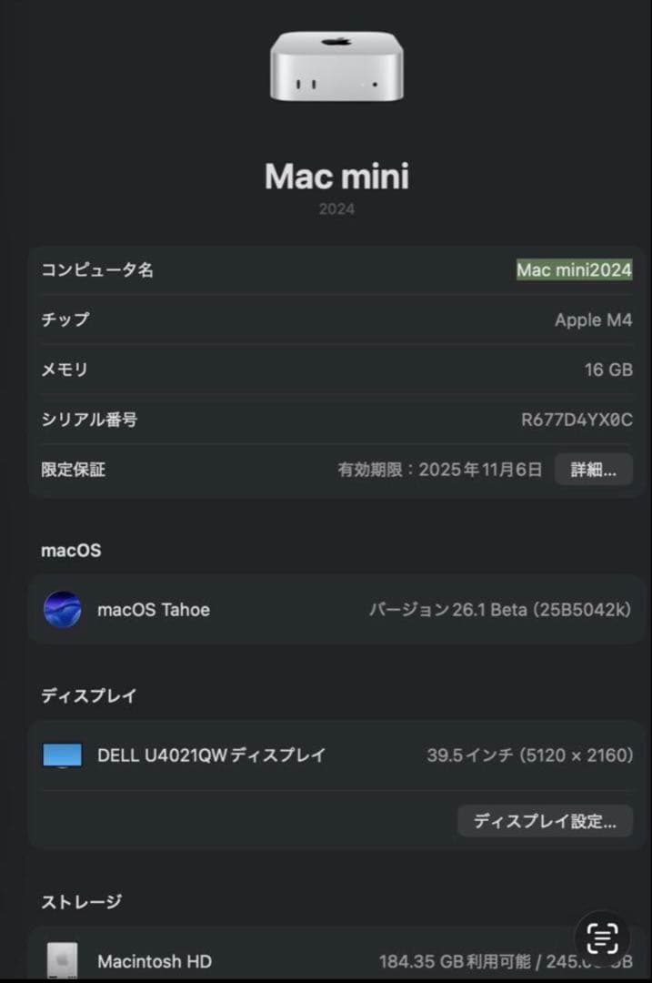 【早い者勝ち】Mac mini M4✨16GB/256GB
