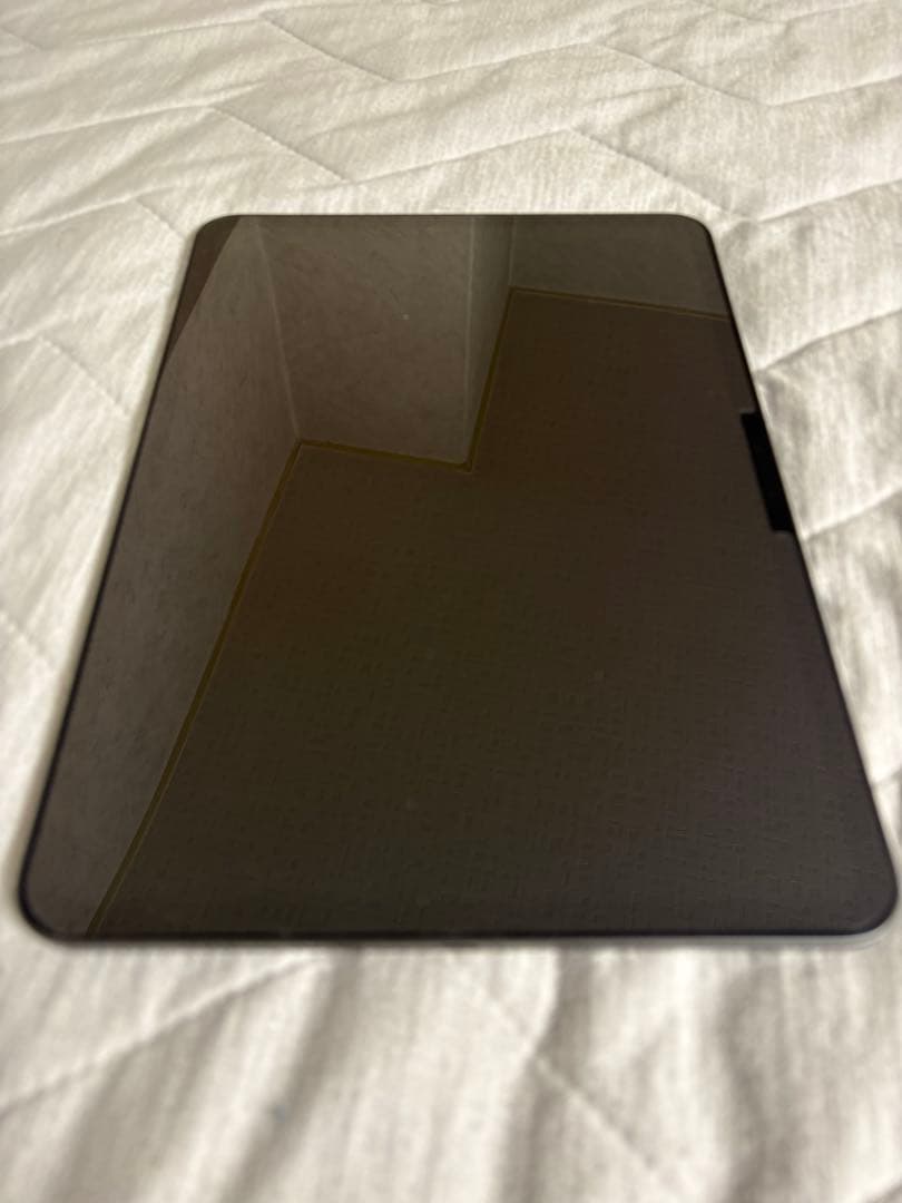 iPad Pro M4 11インチ WiFiモデル 256GB スペースブラック