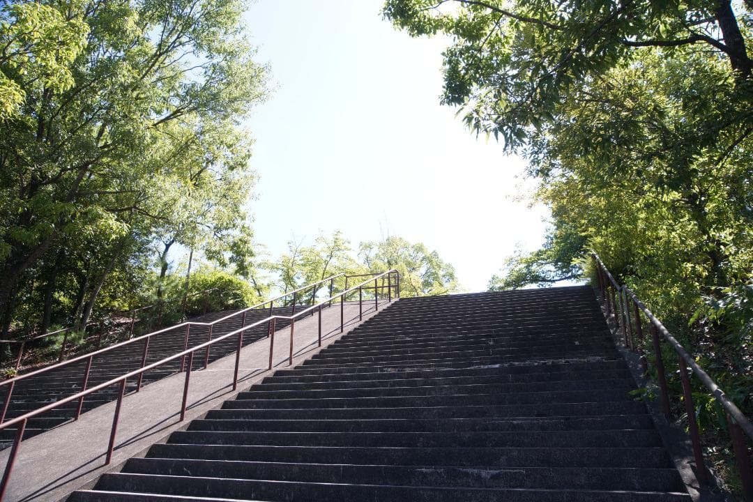 SONY　α7　ショット数11,140枚(作例あり)