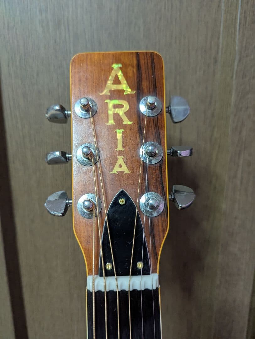 ♪Aria W-350・ハカランダ・トップ単板?♪