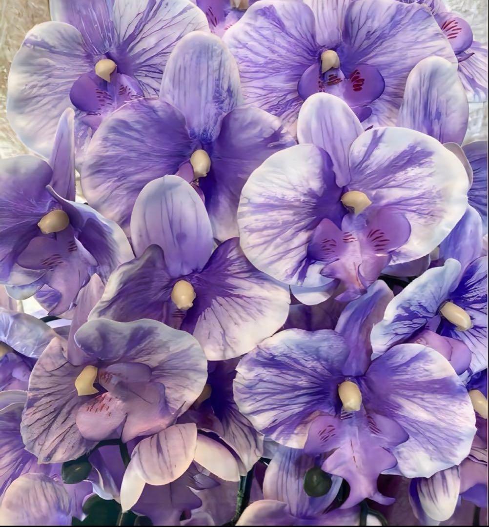 光触媒　人工観葉植物　ウォールグリーン　胡蝶蘭pu５本7645