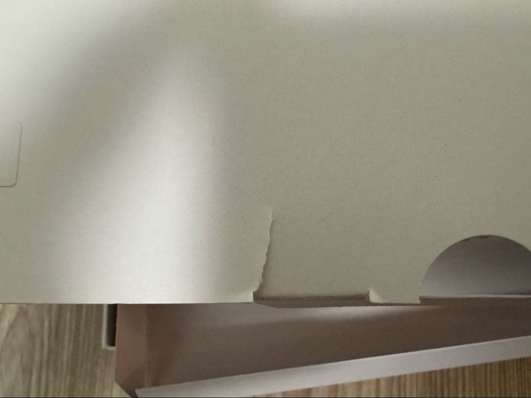 レオンポケット5 REON POCKET 5 RNPK-5 ソニー