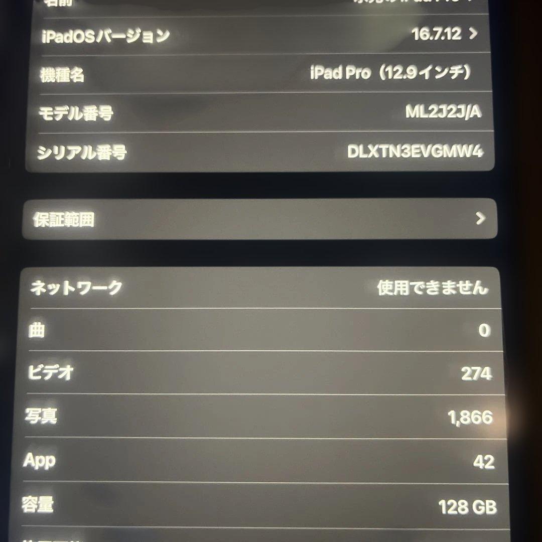 早いもの勝ち　Pad Pro 128GB 12.9インチ シルバー A1652