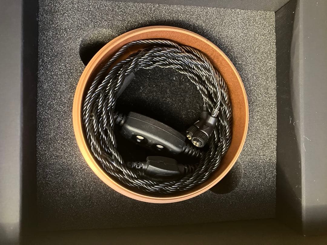 イヤホン JH Audio Rosie