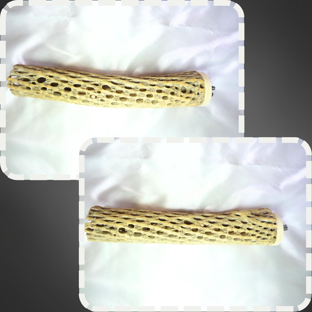 鳥用品　止まり木　カクタス　スケルトン　パーチ　超特大　No.233