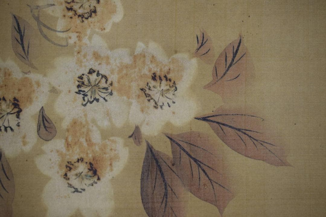 酒井抱一/山桜小禽図/桜に小鳥図/大横物/掛軸☆宝船☆Y-747　JM