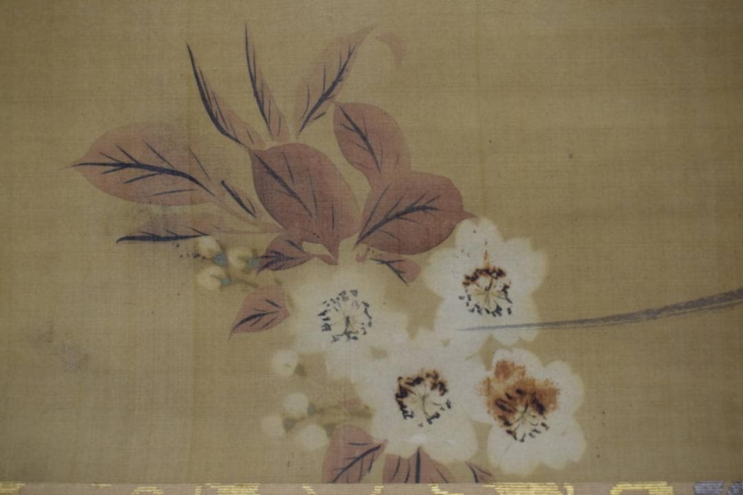 酒井抱一/山桜小禽図/桜に小鳥図/大横物/掛軸☆宝船☆Y-747　JM