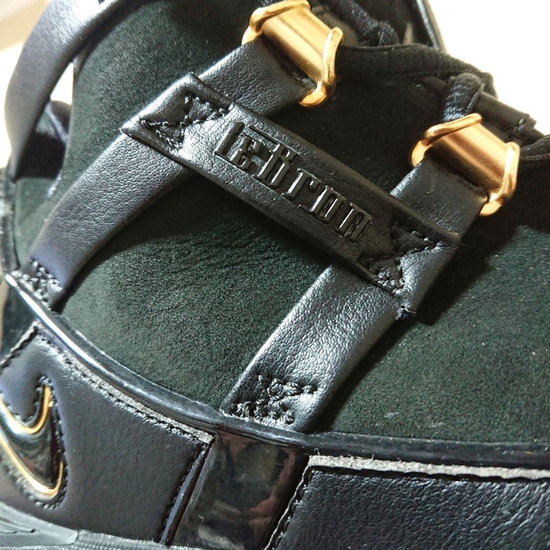 【希少】NIKE Zoom LeBron 3llic Gold シューズ