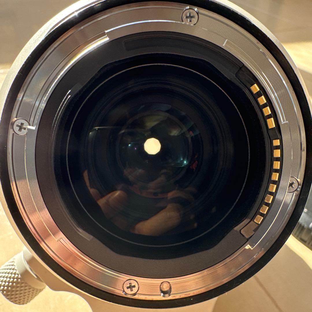 【極美品】Canon RF70-200mm F2.8 L 元箱・付属品完備