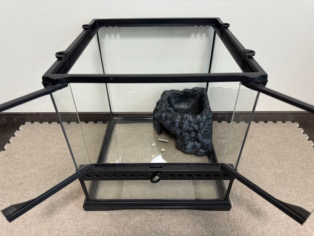 GEX EXO TERRA グラステラリウム3030 飼育セット②