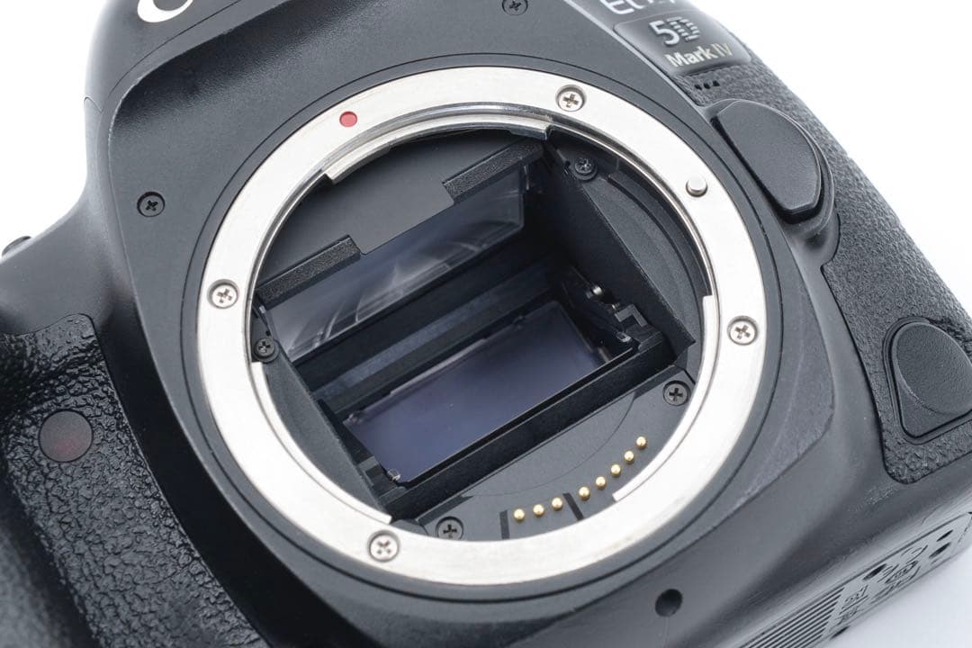 デジタル一眼レフカメラCanon EOS 5D Mark IVダブルレンズセット