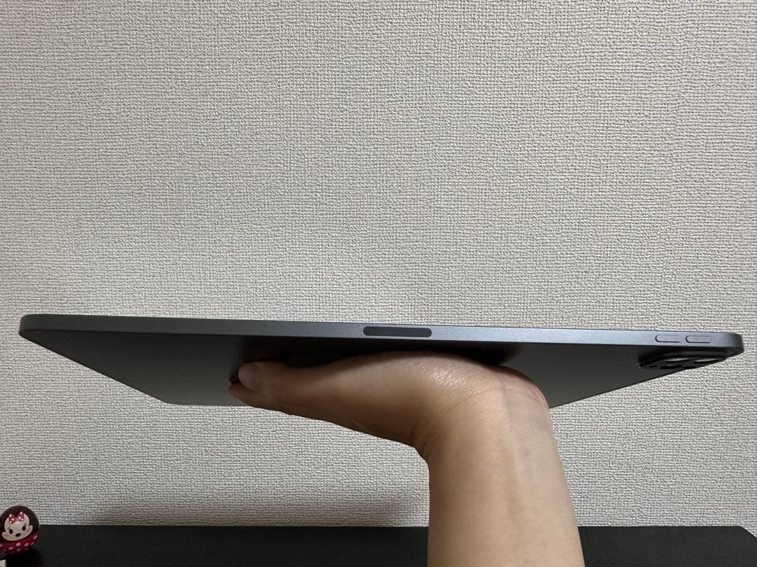 iPad Pro (12.9インチ) 第5世代 WiFiモデル