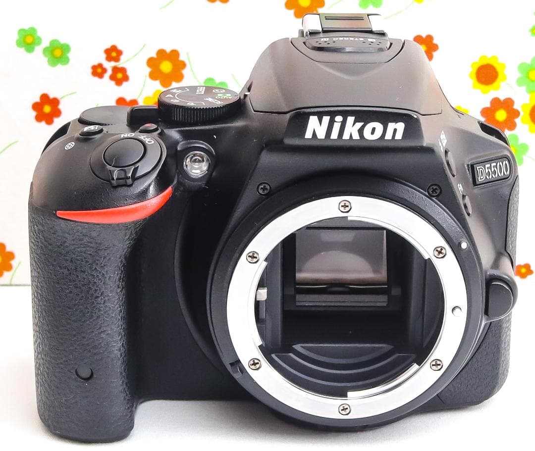美品 ニコン Nikon D5500☆Wi-Fi搭載機♪☆高機能・高画質一眼レフ