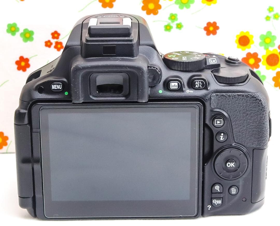 美品 ニコン Nikon D5500☆Wi-Fi搭載機♪☆高機能・高画質一眼レフ