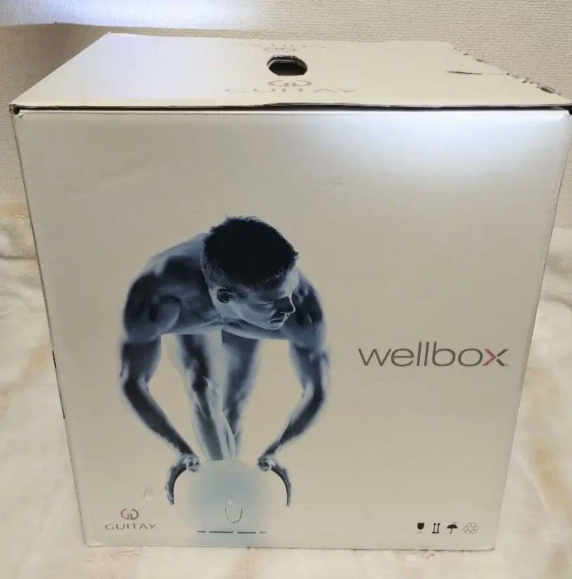 【美品】wellbox GUITAY 家庭用エンダモロジー おうちでエステ