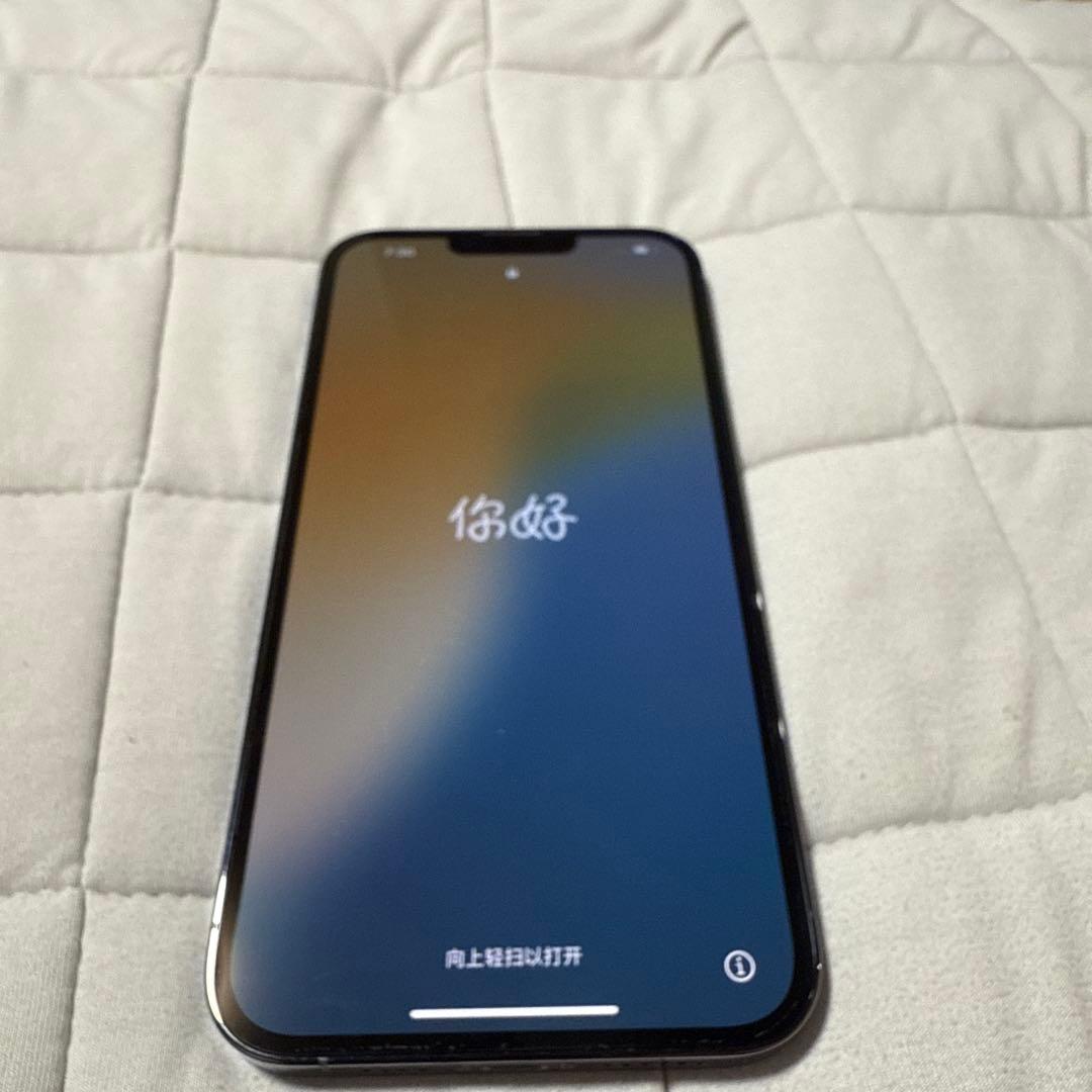 Apple iPhone 13 Pro Max 256GB （カメラ少し破損）