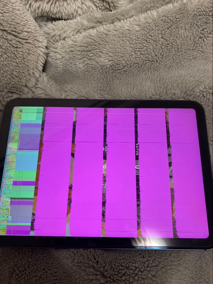 iPad mini6 wifi cellular 256gb 本体 ジャンク扱い