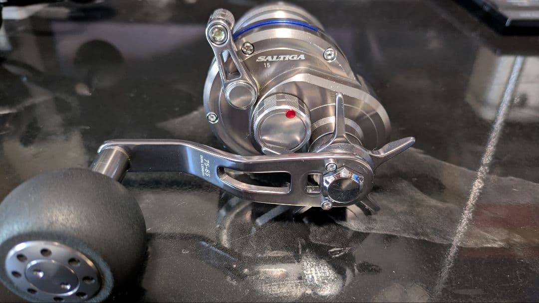 リール DAIWA 15SALTIGA 15