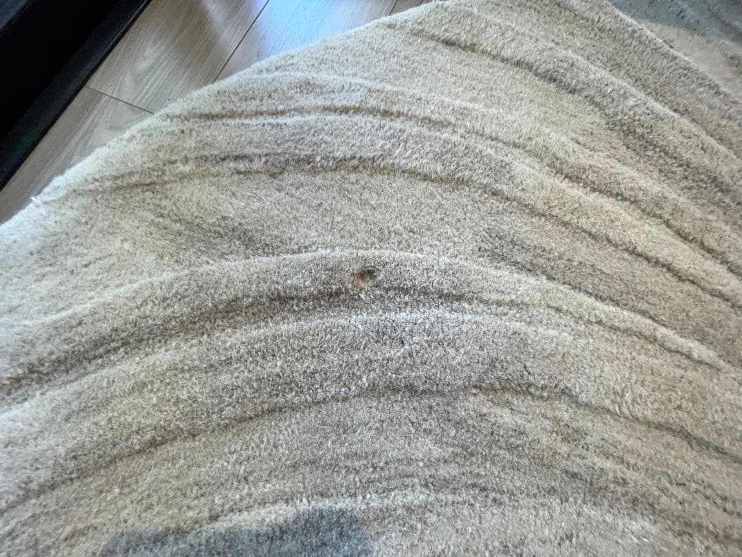 BoConcept Furrow250円形 ラグ